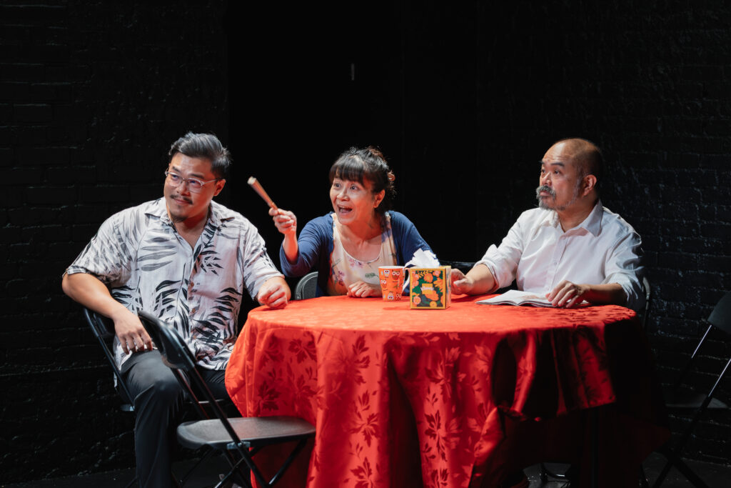 NOT OUR HOME, NOT OUR HOME, preview performance at The Flea Theater as part of The Rogue Theater Festival, written by Ned Du, directed by Sissi Chen, photo by Meggie Hool Photography