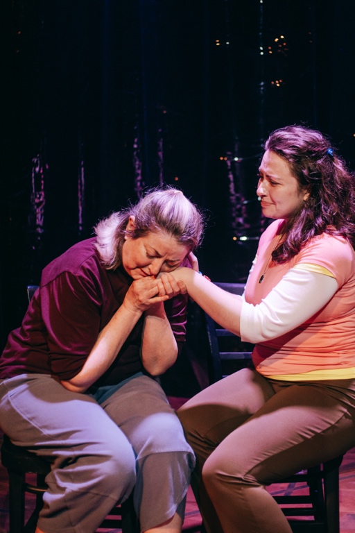 The Tank and Voyage Theater Company present LOVE STORY, written by Aurora Stewart de Peña, directed by Rose Burnett Bonczek, photo by Geve Penn